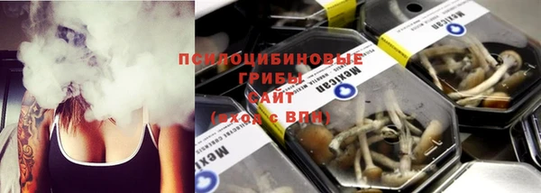 прущий лед Грязовец