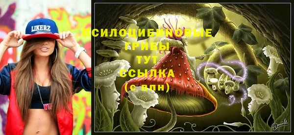 прущий лед Грязовец