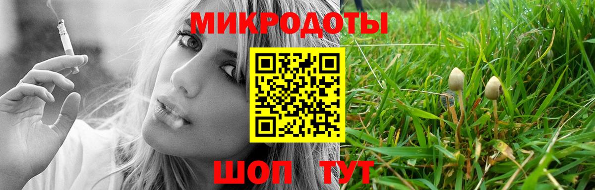 Галлюциногенные грибы Cubensis  Вход с VPN  Гурьевск  Галлюциногенные грибы Psilocybine cubensis 