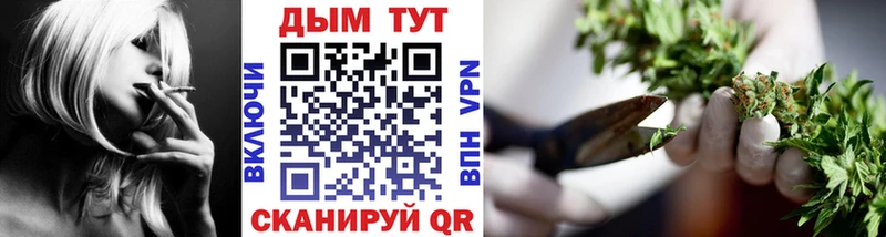 Бошки Шишки ГИДРОПОН  где купить   Гурьевск 